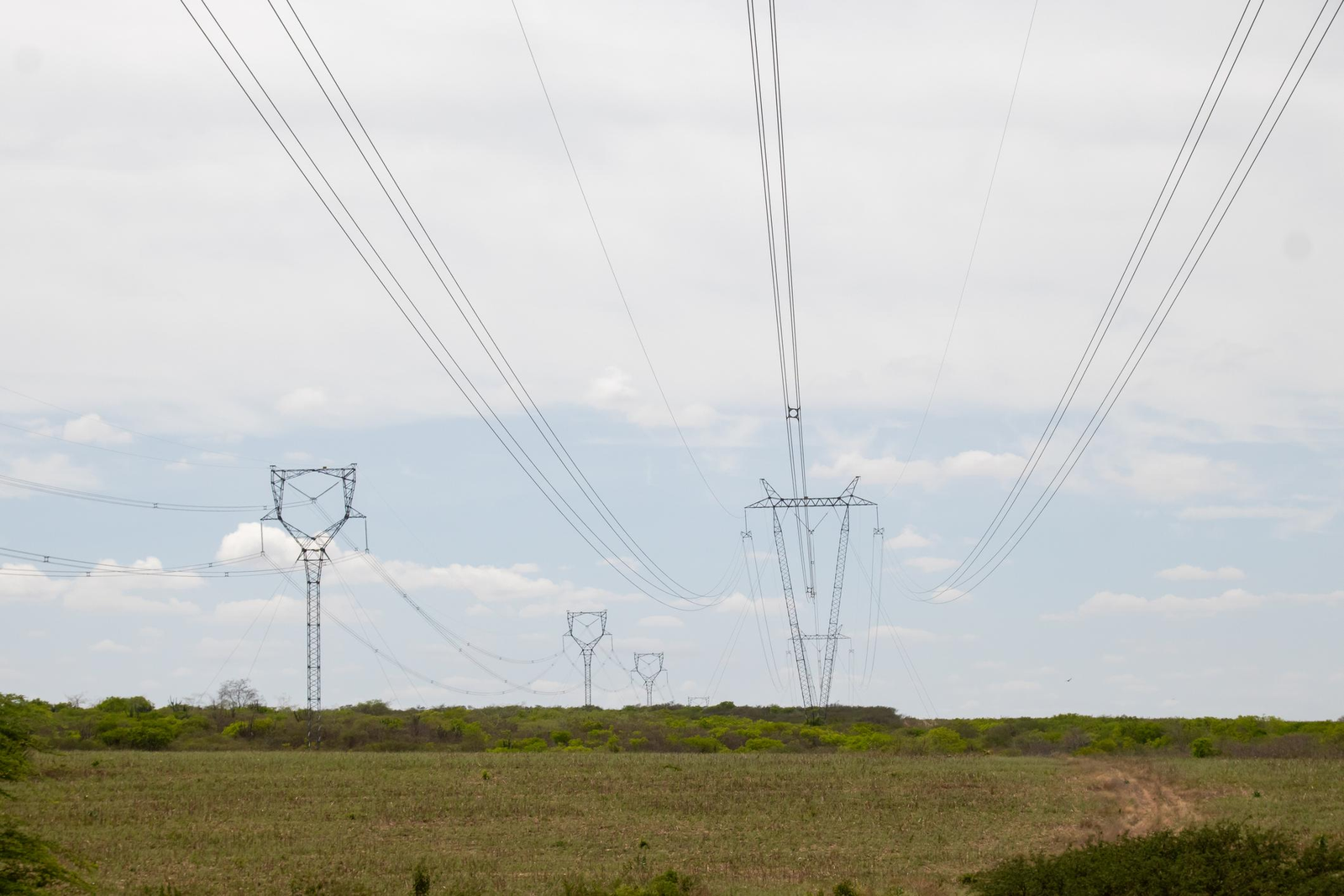 The Sector Trends Behind Today’s Market Movers